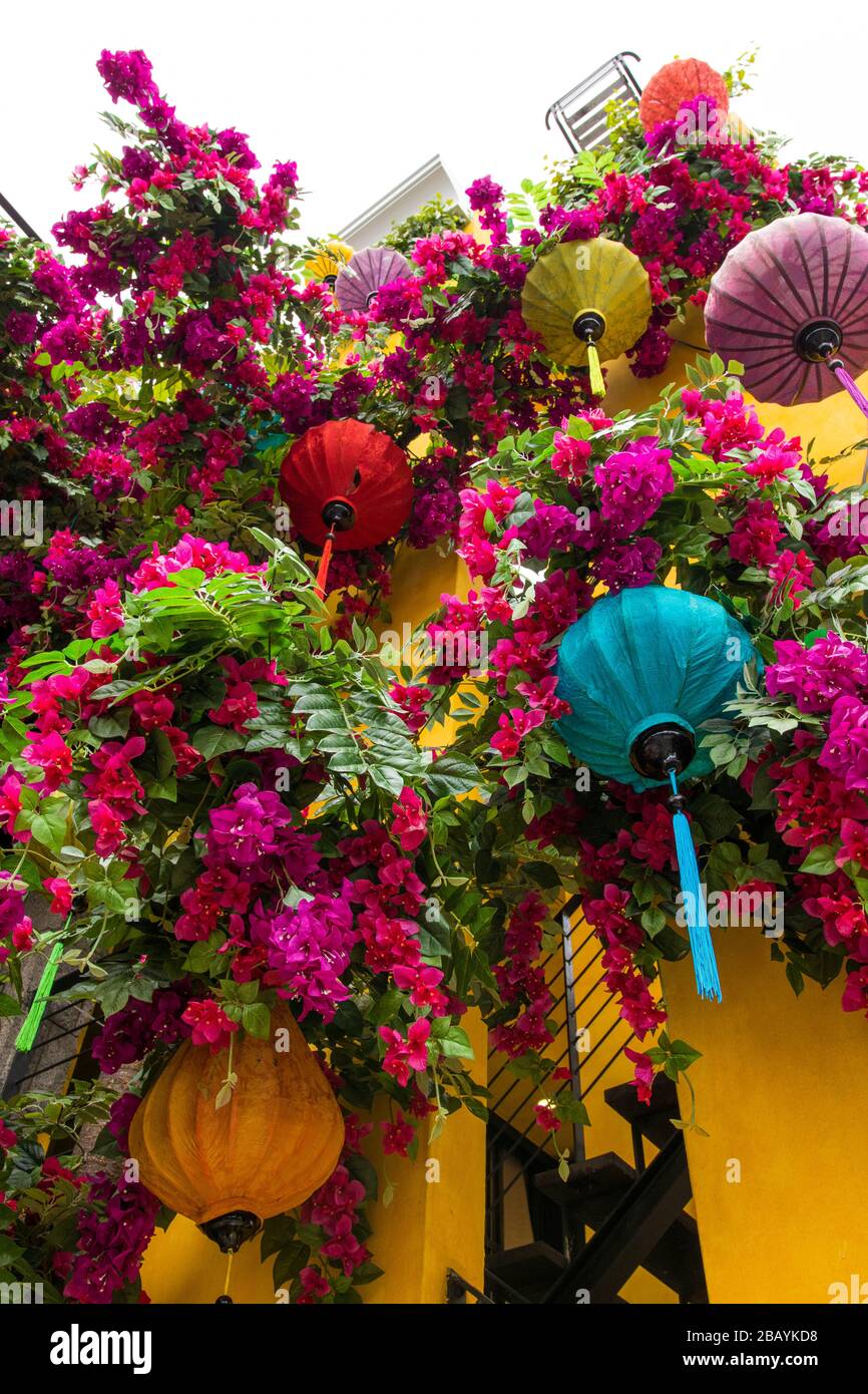 Foto ad angolo basso di latteri di carta in stile vietnamita appesi con piante rosa che si arrampicano all'esterno di un edificio giallo a Seoul, Corea del Sud. Foto Stock