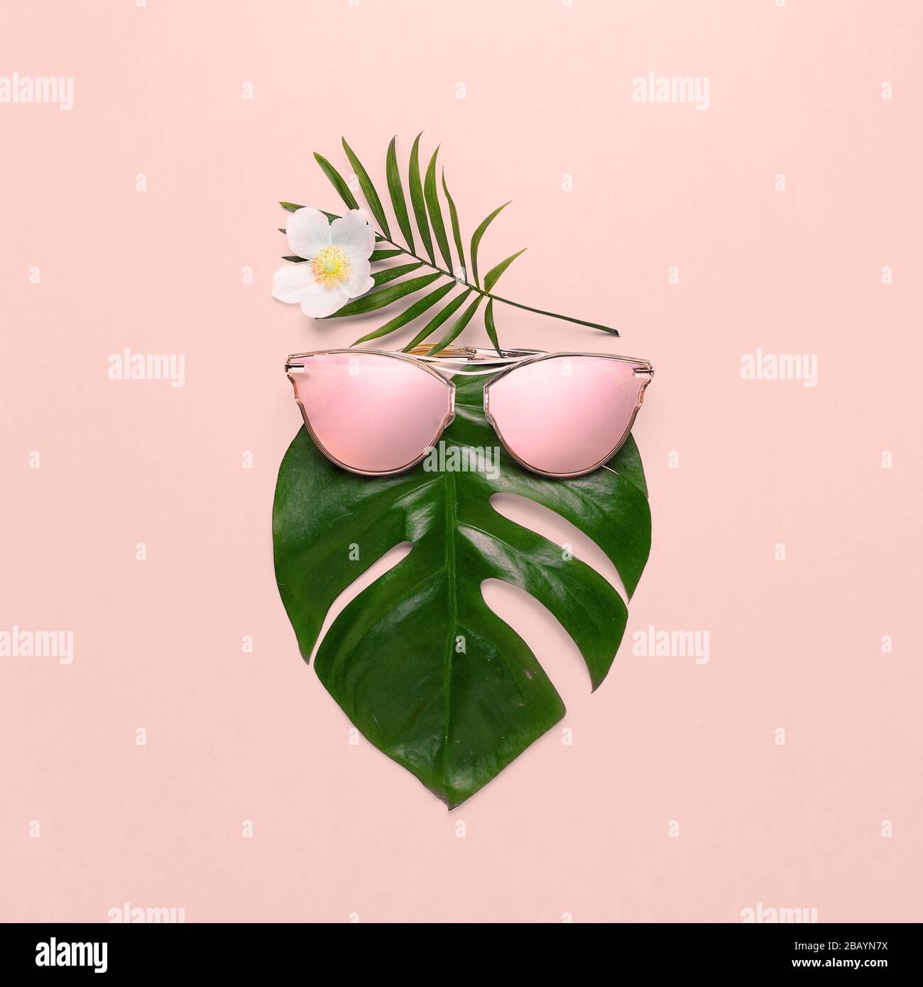 Concetto di spiaggia tropicale. Monstera hippster alla moda in occhiali alla moda. Poster creativo, sfondo color pastello rosa Foto Stock