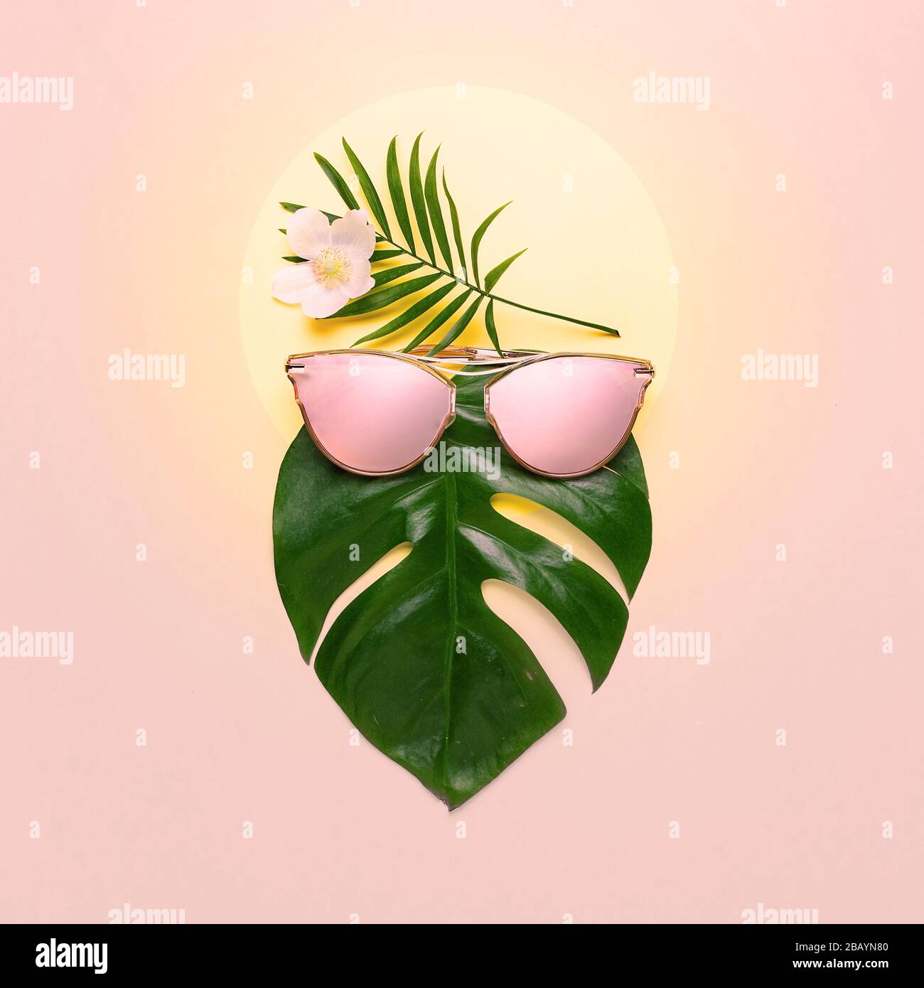 Concetto di spiaggia tropicale. Monstera hippster alla moda in occhiali alla moda. Poster creativo, sfondo color pastello rosa Foto Stock
