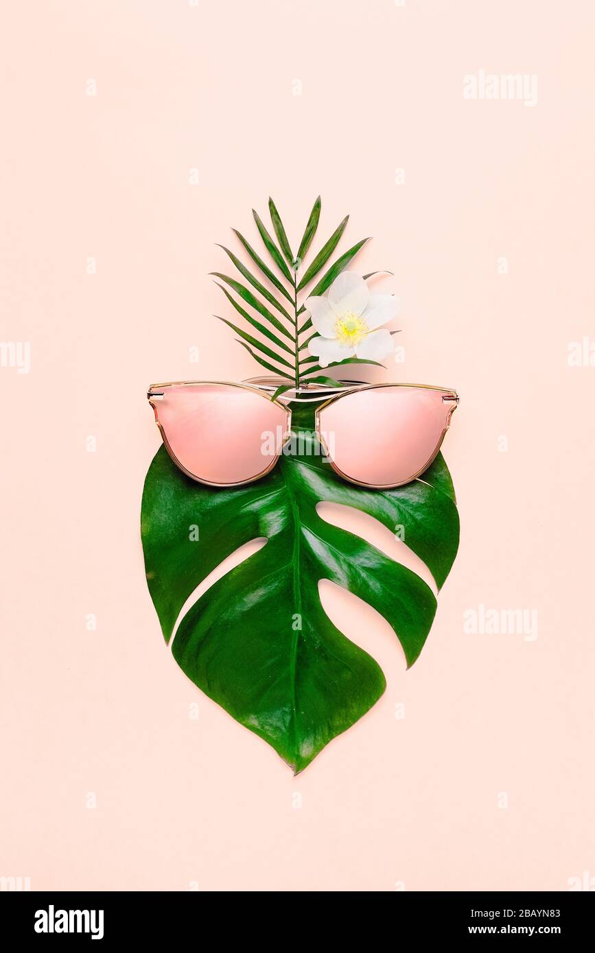 Concetto di spiaggia tropicale. Monstera hippster alla moda in occhiali alla moda. Poster creativo, sfondo color pastello rosa Foto Stock