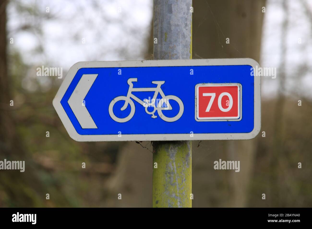 Inghilterra britannica, Cumbria, segnaletica per il percorso ciclabile Cumbria, percorso ciclabile, segnaletica ciclabile cumbria, percorso ciclabile cumbria. Foto Stock