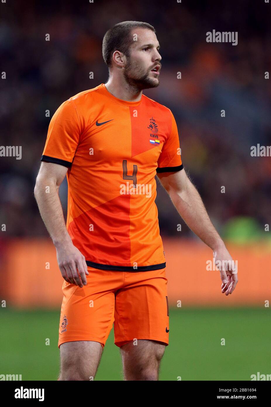 Ron Vlaar, Paesi Bassi Foto Stock