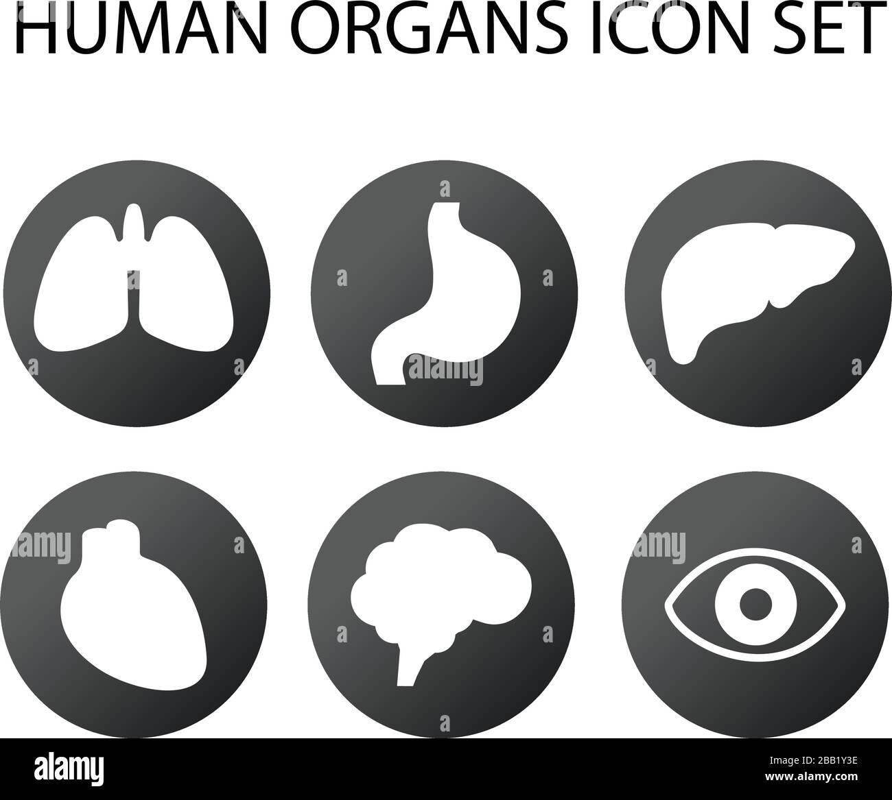 icona degli organi umani impostata in cerchio. Polmoni, stomaco, fegato, cuore, cervello e icone degli occhi. Illustrazione del vettore stock isolata Illustrazione Vettoriale