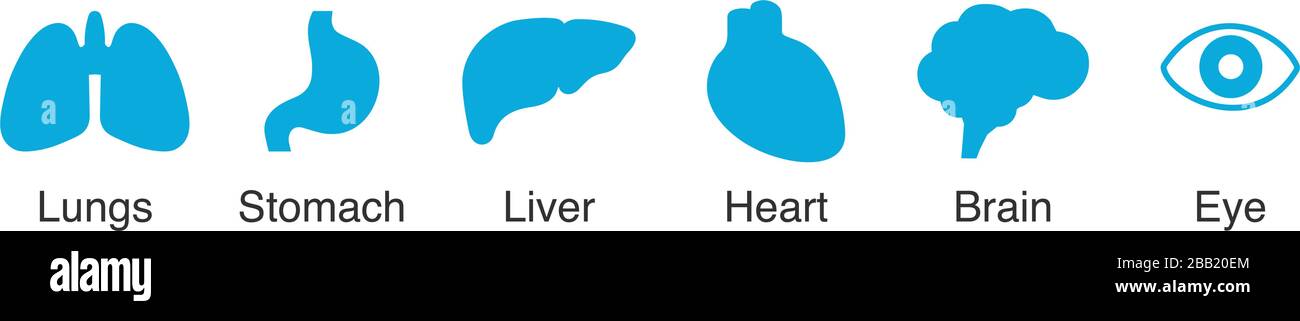 Set di icone blu per organi umani. Polmoni, stomaco, fegato, cuore, cervello e icone degli occhi. Illustrazione del vettore di scorta isolata su bianco Illustrazione Vettoriale