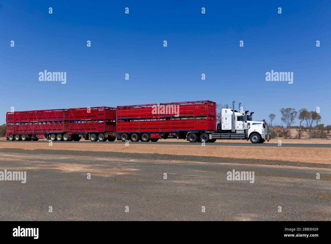 Treno a tre rimorchi che trasporta bestiame lungo l'Adventure Highway Vicino a Eulo Queensland Australia Foto Stock
