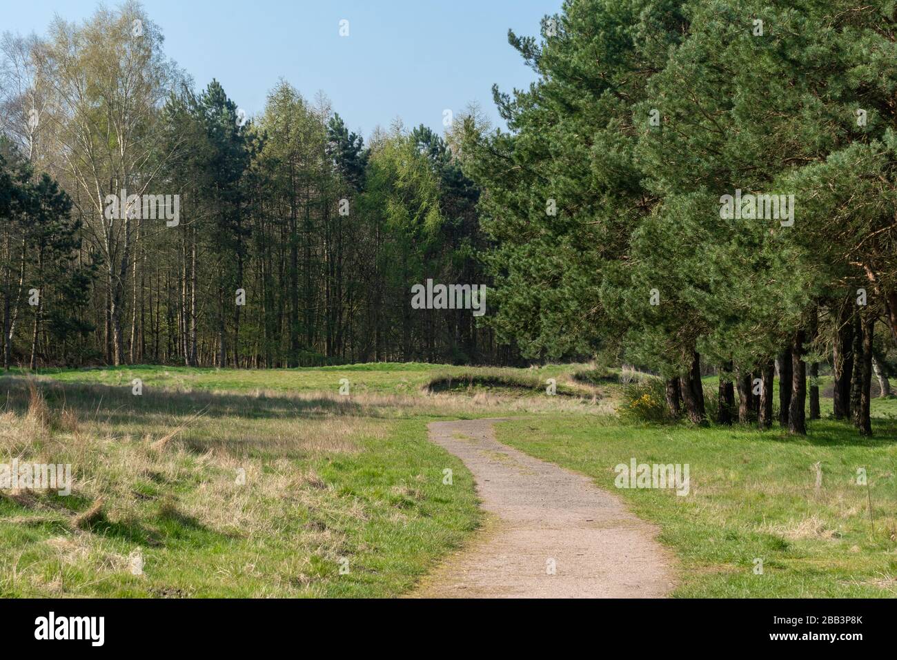 Vista del Southwood Country Park a Farnborough, Hampshire, Regno Unito, precedentemente un campo da golf, ora un'area locale di spazio verde Foto Stock