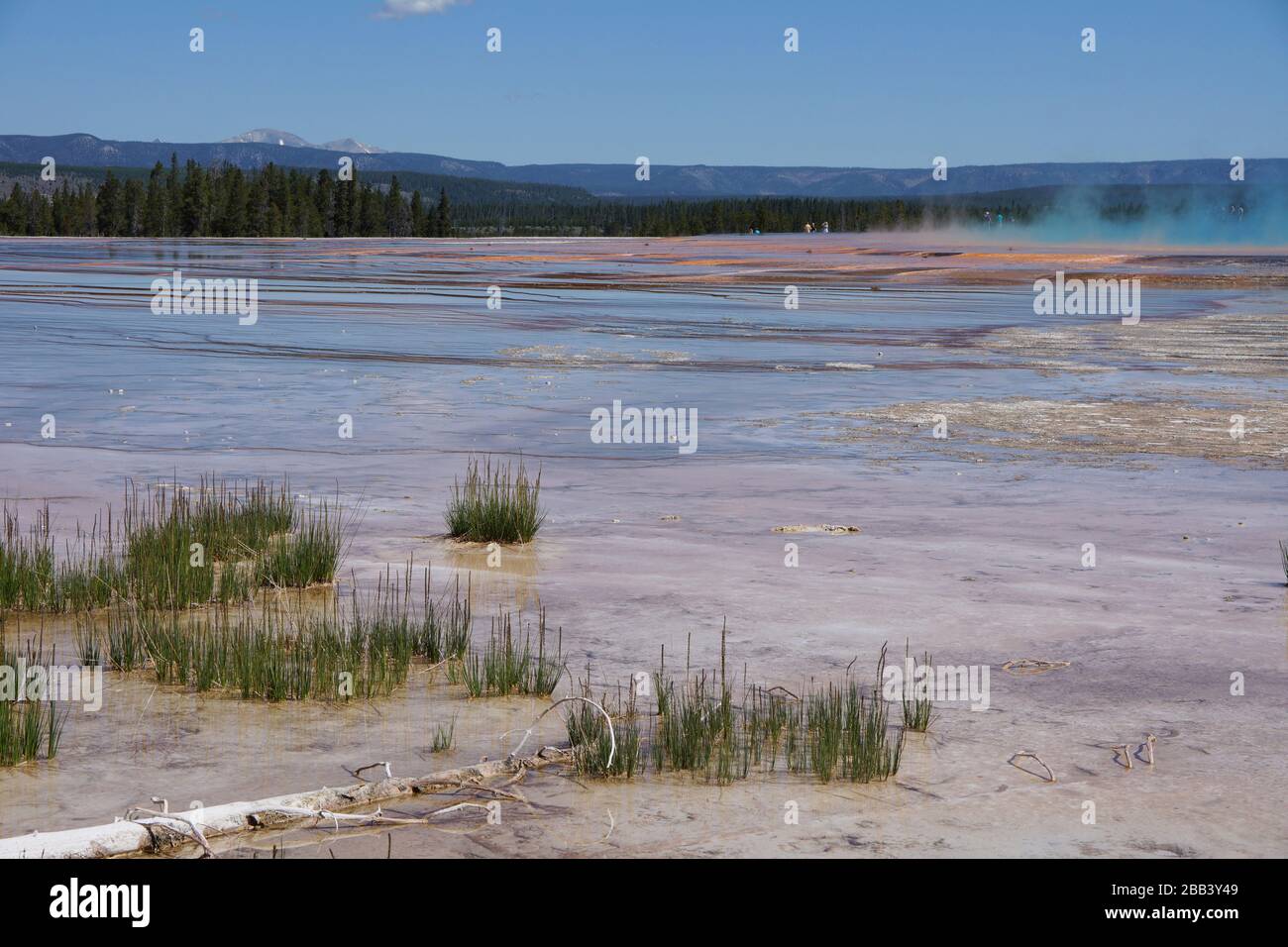 Yellowstone USA - 28 Giugno 2013 - Parco Nazionale di Yellowstone - piscine geotermiche Foto Stock