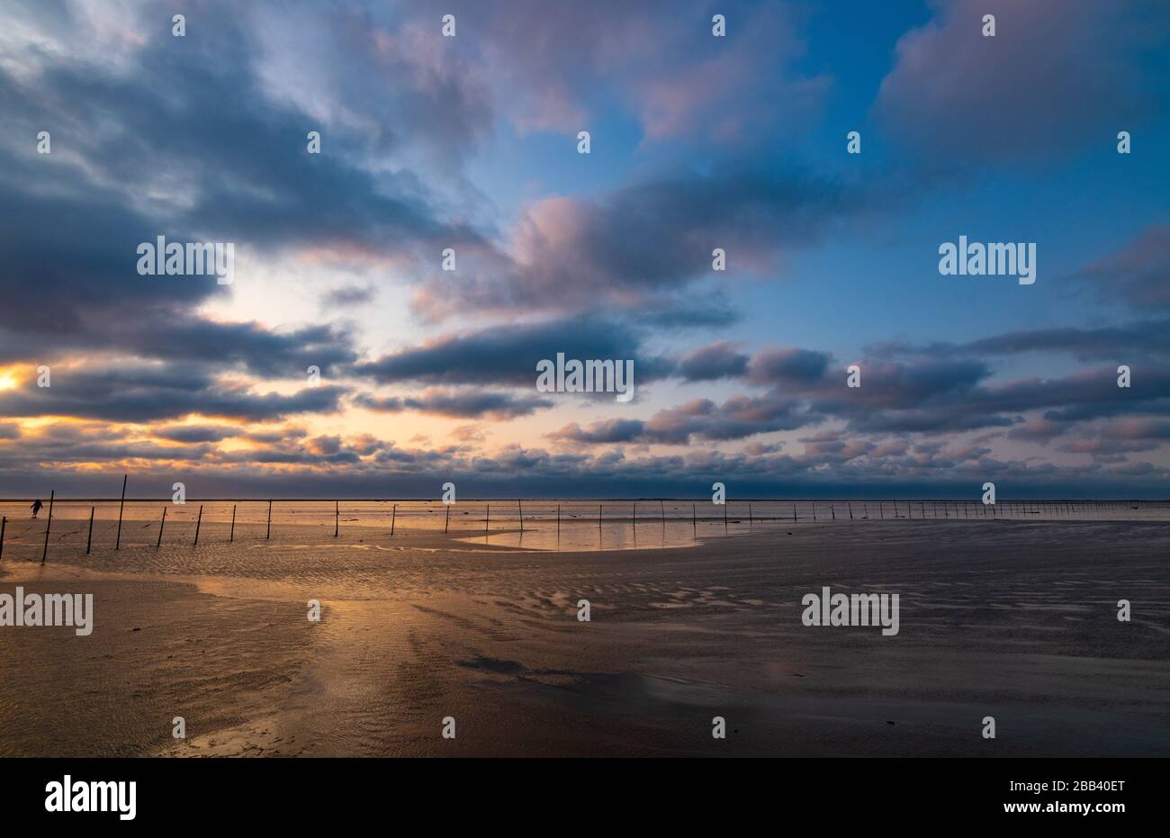 Paesaggio bianco e nero esposizione delle zone umide a Taiwan Foto Stock