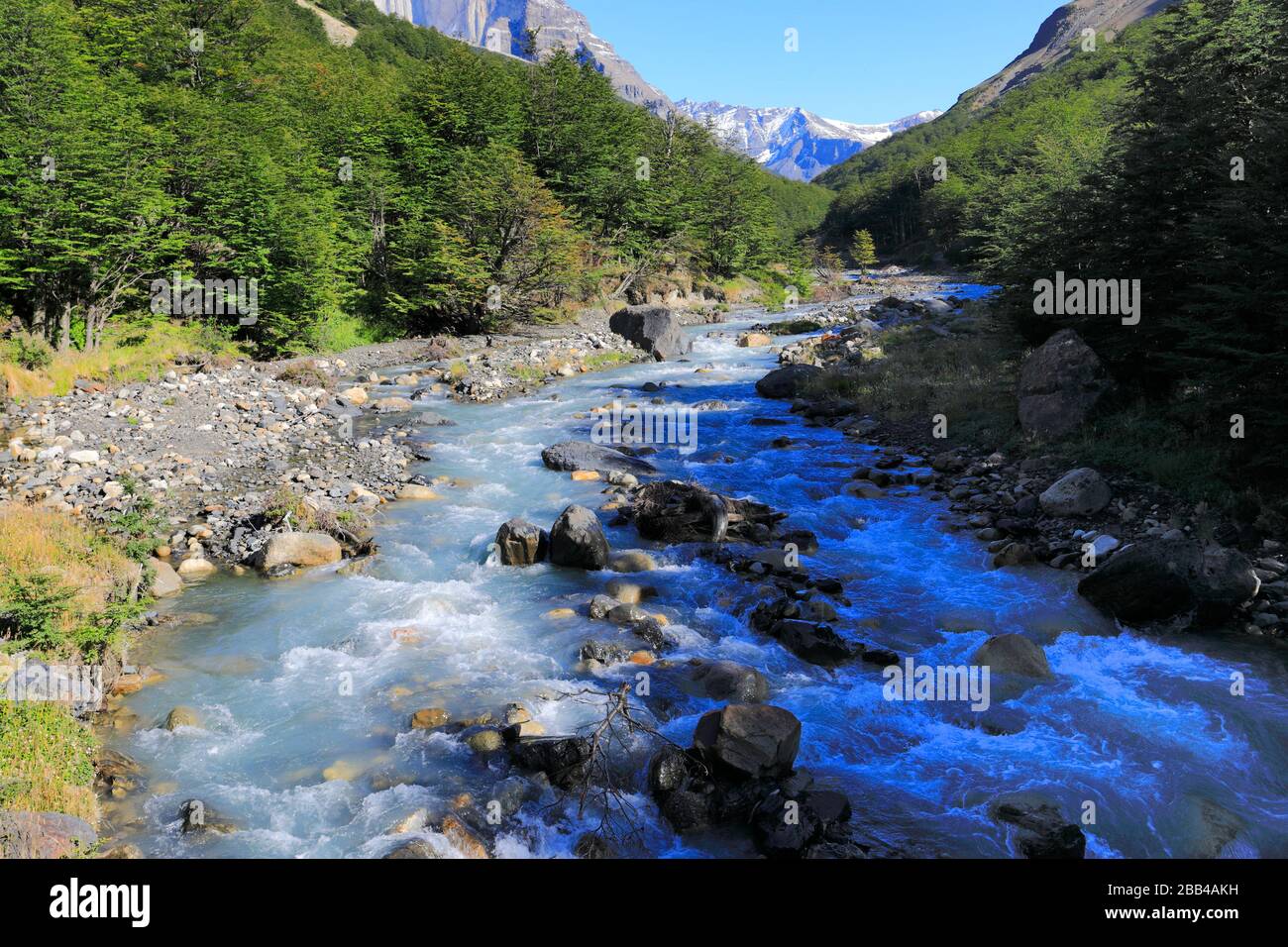 Valle del fiume Rio Ascenscio, Parco Nazionale Torres de Paine, Regione Magallanes, Patagonia, Cile, Sud America Foto Stock