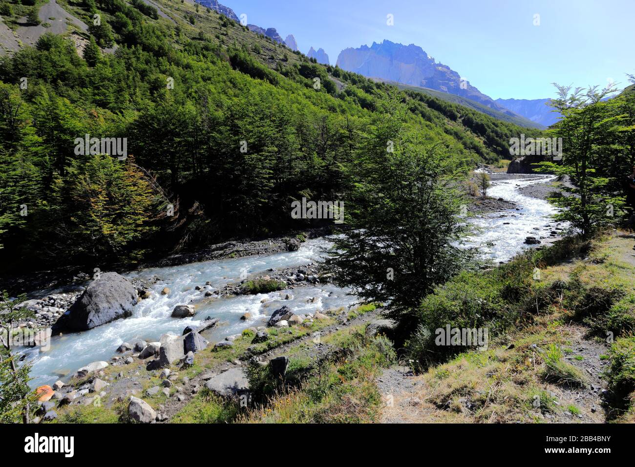 Valle del fiume Rio Ascenscio, Parco Nazionale Torres de Paine, Regione Magallanes, Patagonia, Cile, Sud America Foto Stock