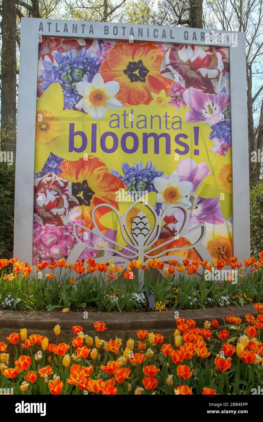 Tulips di fronte a un cartello per l'Atlanta Botanical Garden, Midtown, Atlanta, Georgia, Stati Uniti Foto Stock