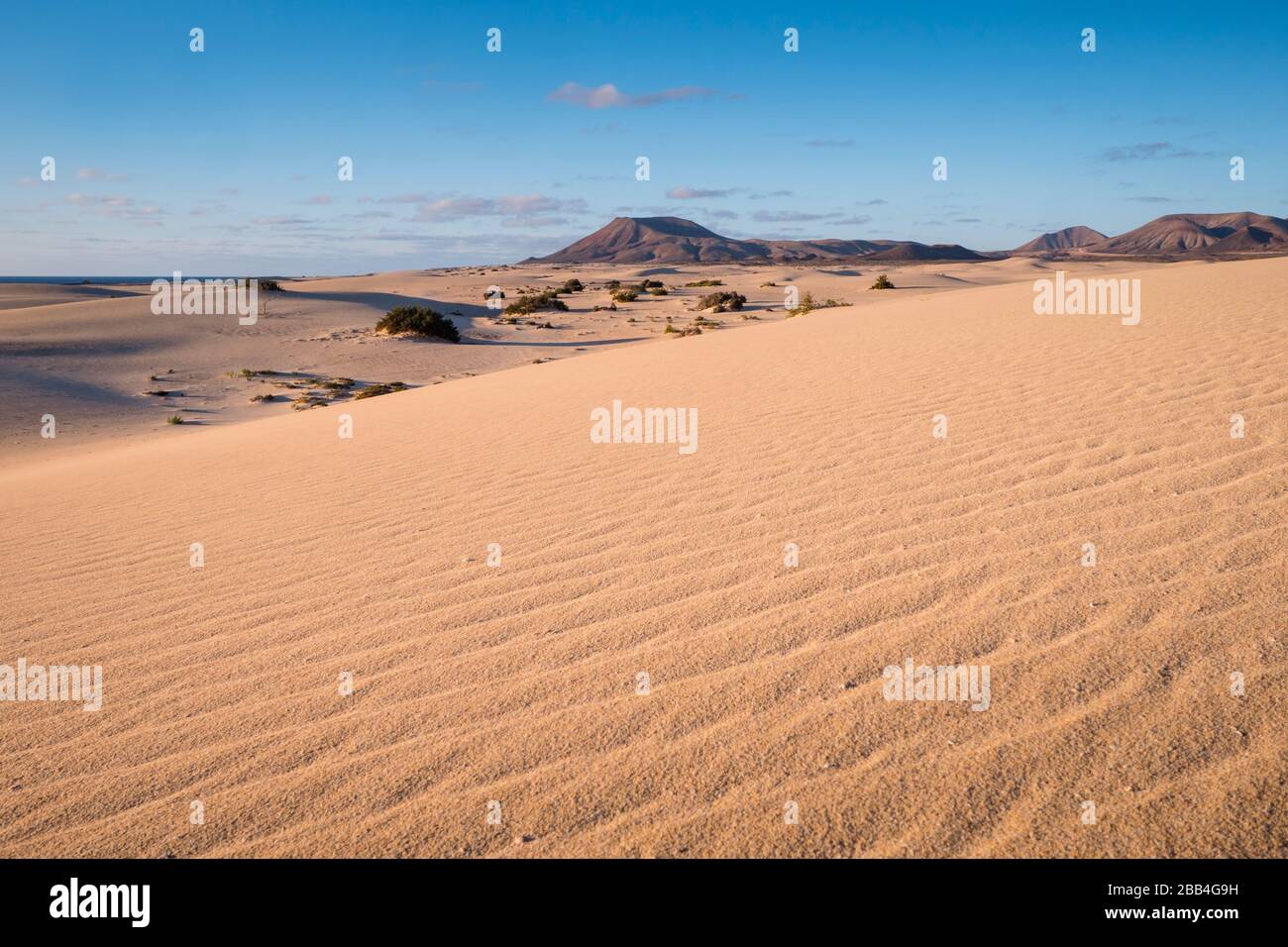 Parque Natural De Corralejo Dune Di Sabbia Corralejo La Oliva Fuerteventura Isole Canarie Spagna Foto Stock