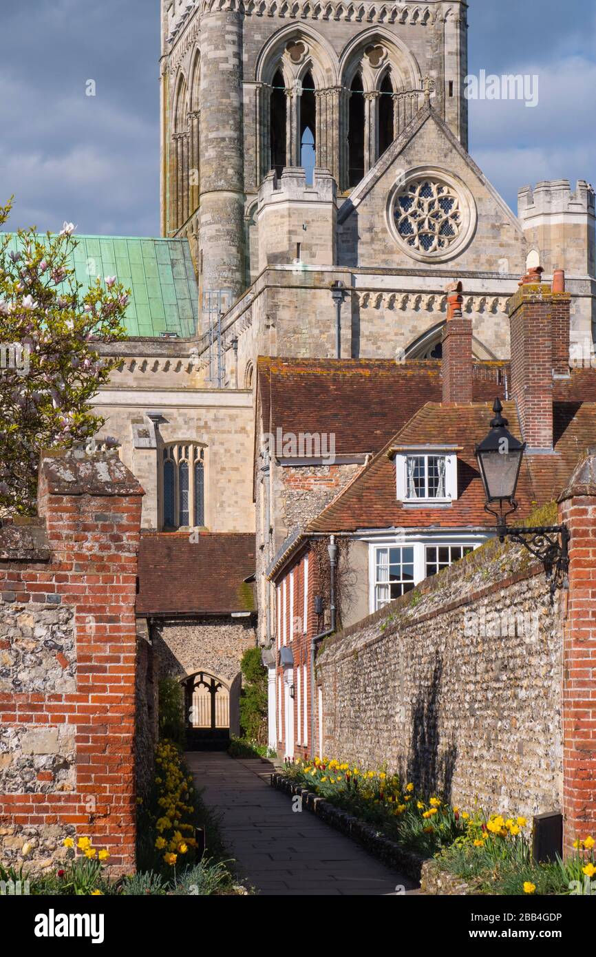 Cattedrale di Chichester Chichester West Sussex England Foto Stock