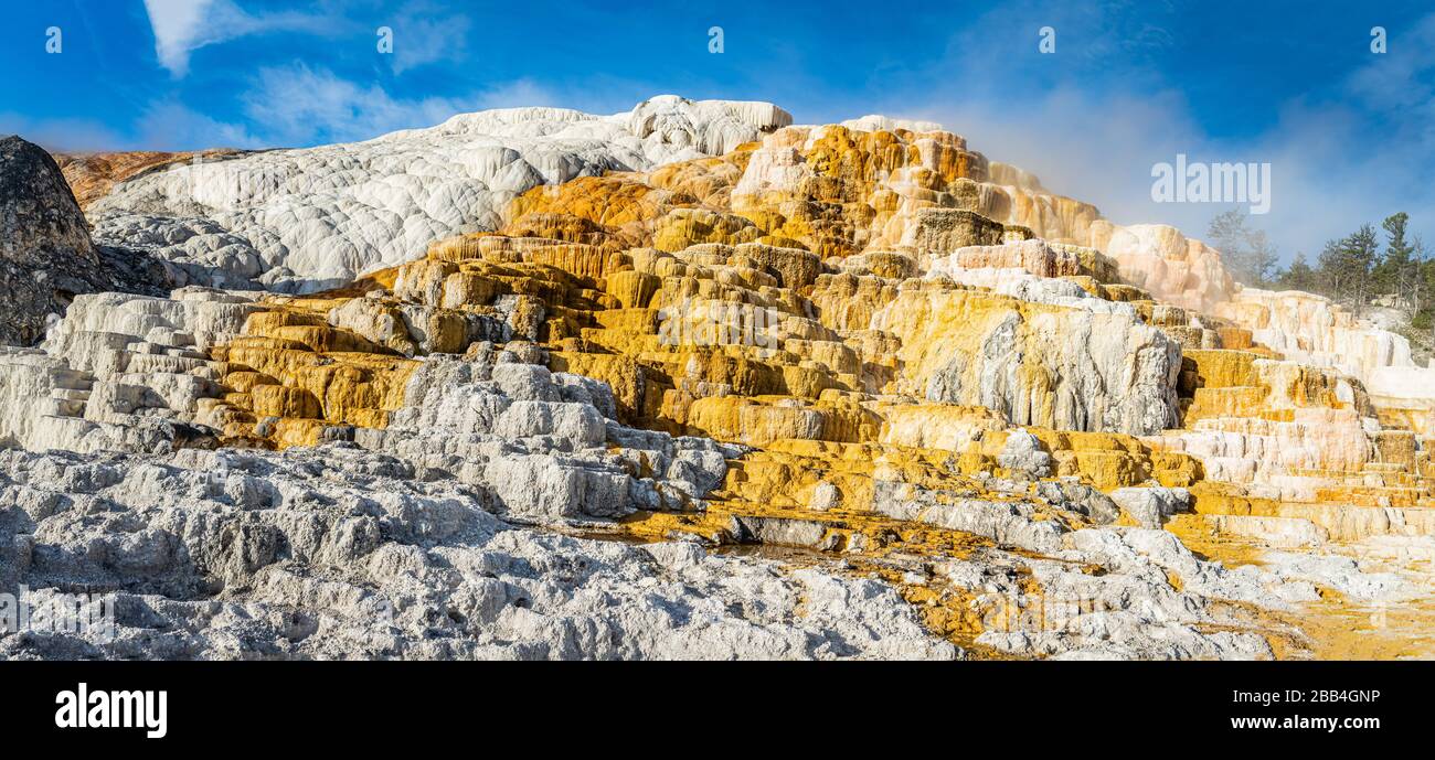 Mammoth Hot Spring al Parco Nazionale di Yellowstone nel Wyoming. Foto Stock