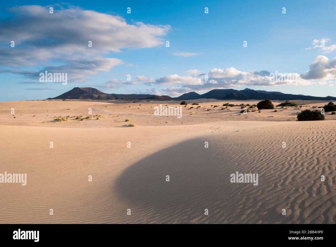 Parque Natural De Corralejo Dune Di Sabbia Corralejo La Oliva Fuerteventura Isole Canarie Spagna Foto Stock