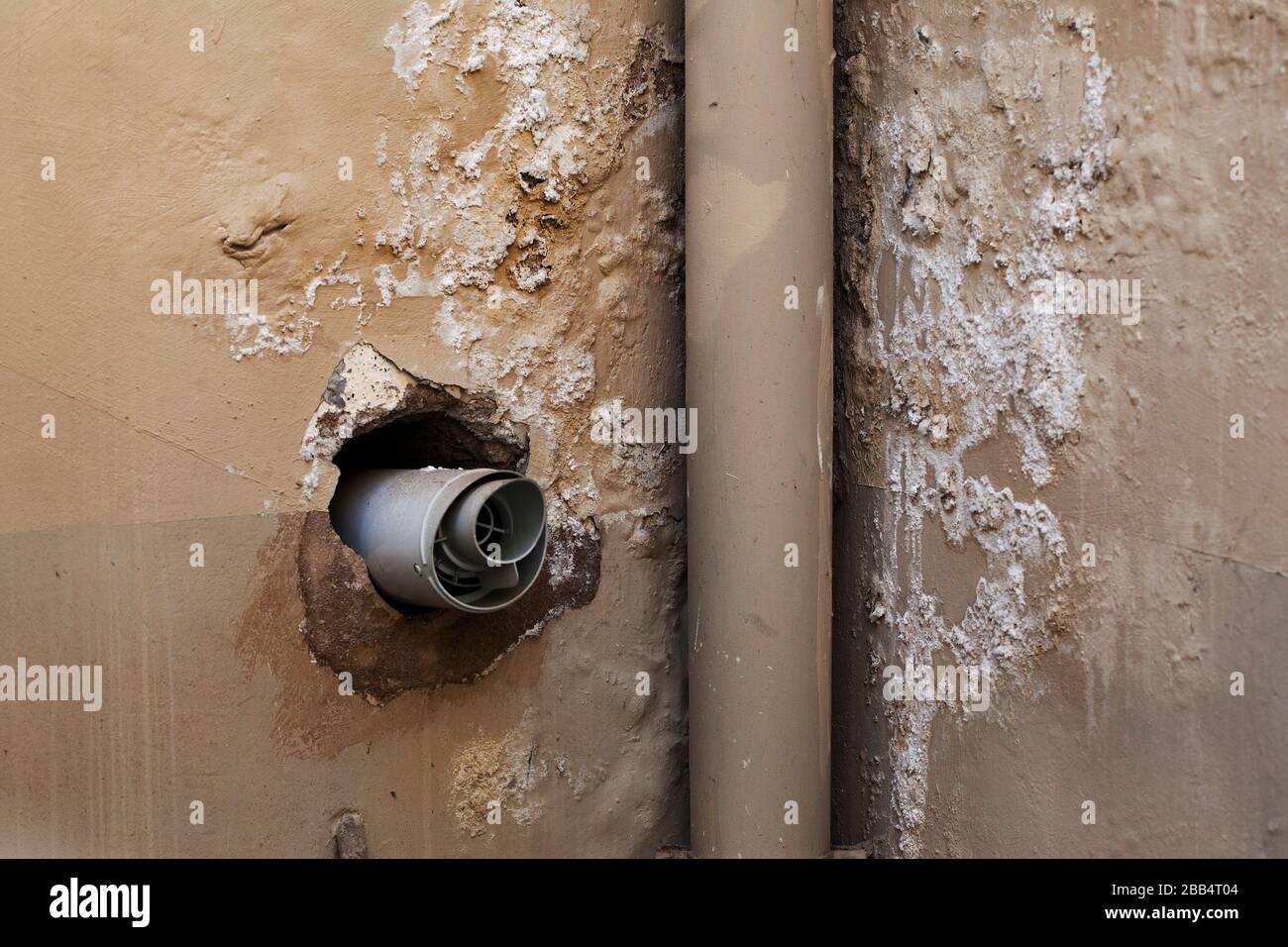 Umidità che provoca la pelatura della vernice. Foto Stock