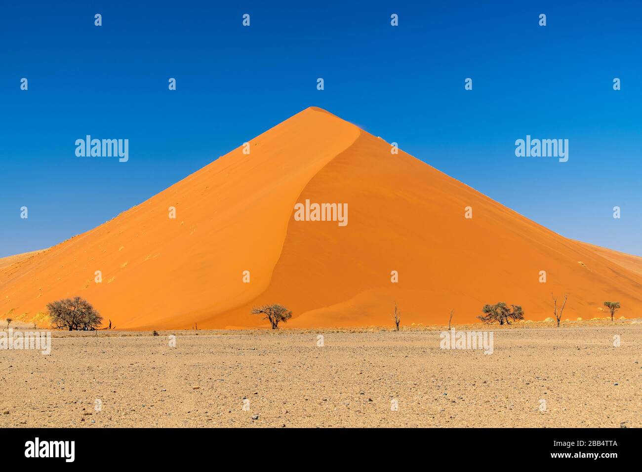 Dune 45, Parco Nazionale Namib-Naukluft, Sesriem, Namibia Foto Stock