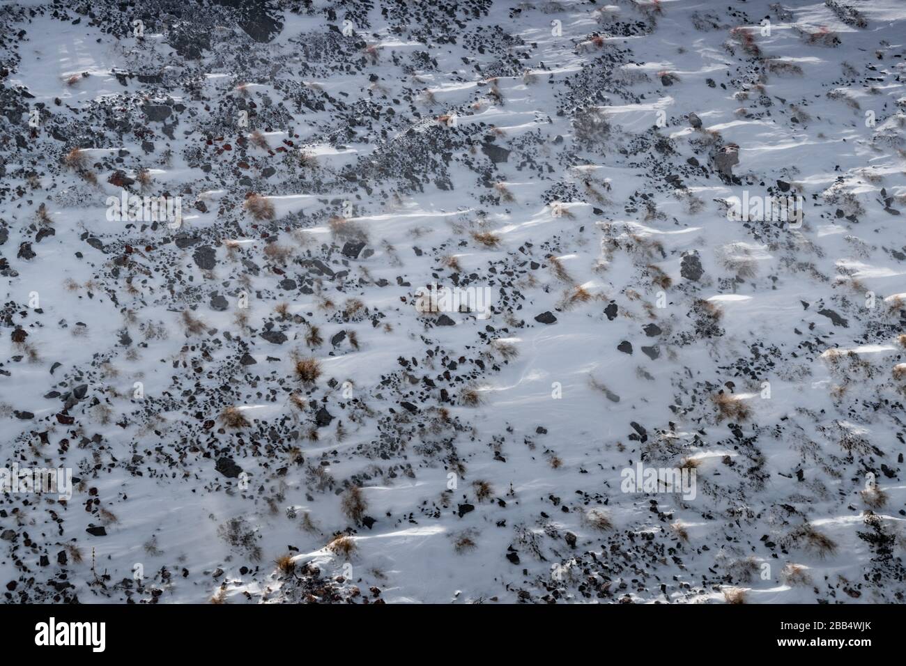 Erba secca sotto neve bianca su pendii al tramonto, erba prickly peek fuori da sotto la neve, montagne è sullo sfondo Foto Stock