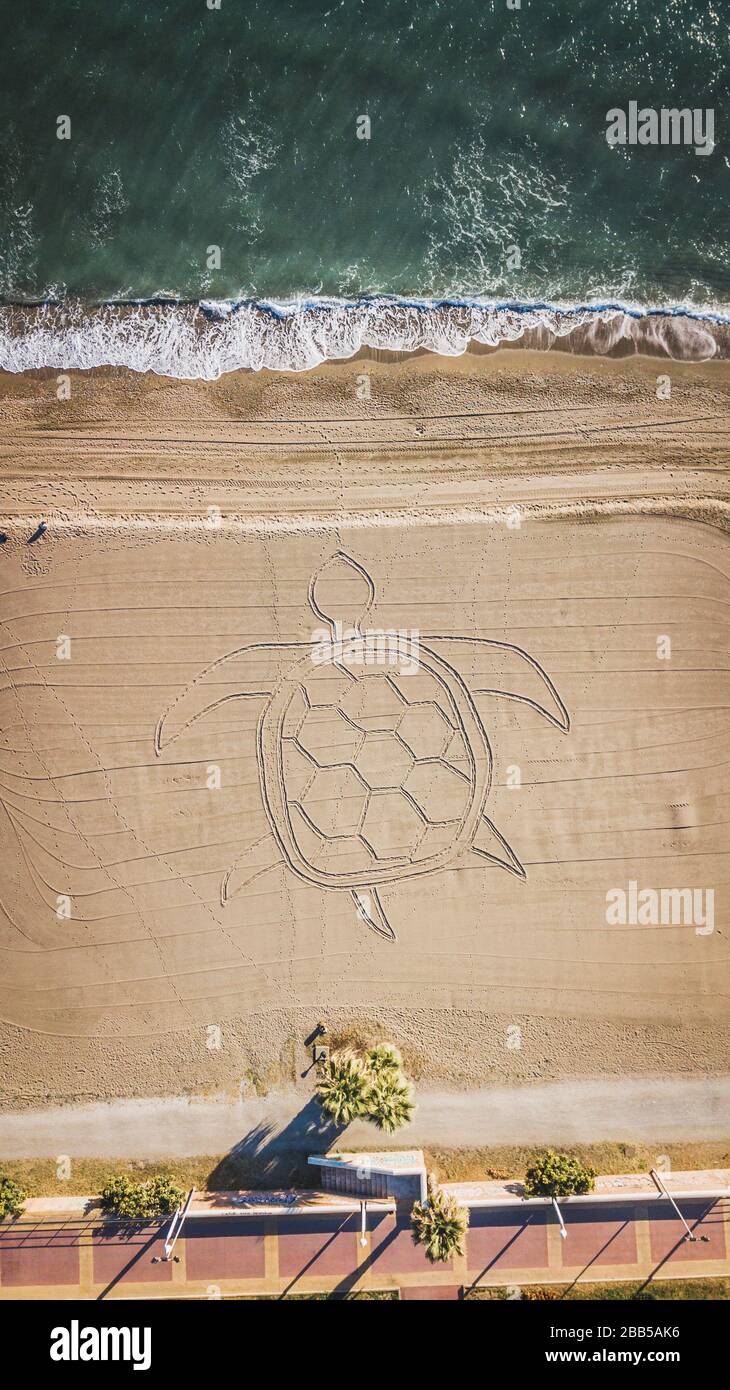 Palme e spiaggia di sabbia con una tartaruga nella sabbia di Malaga, Andalusia regione della Spagna. Foto Stock