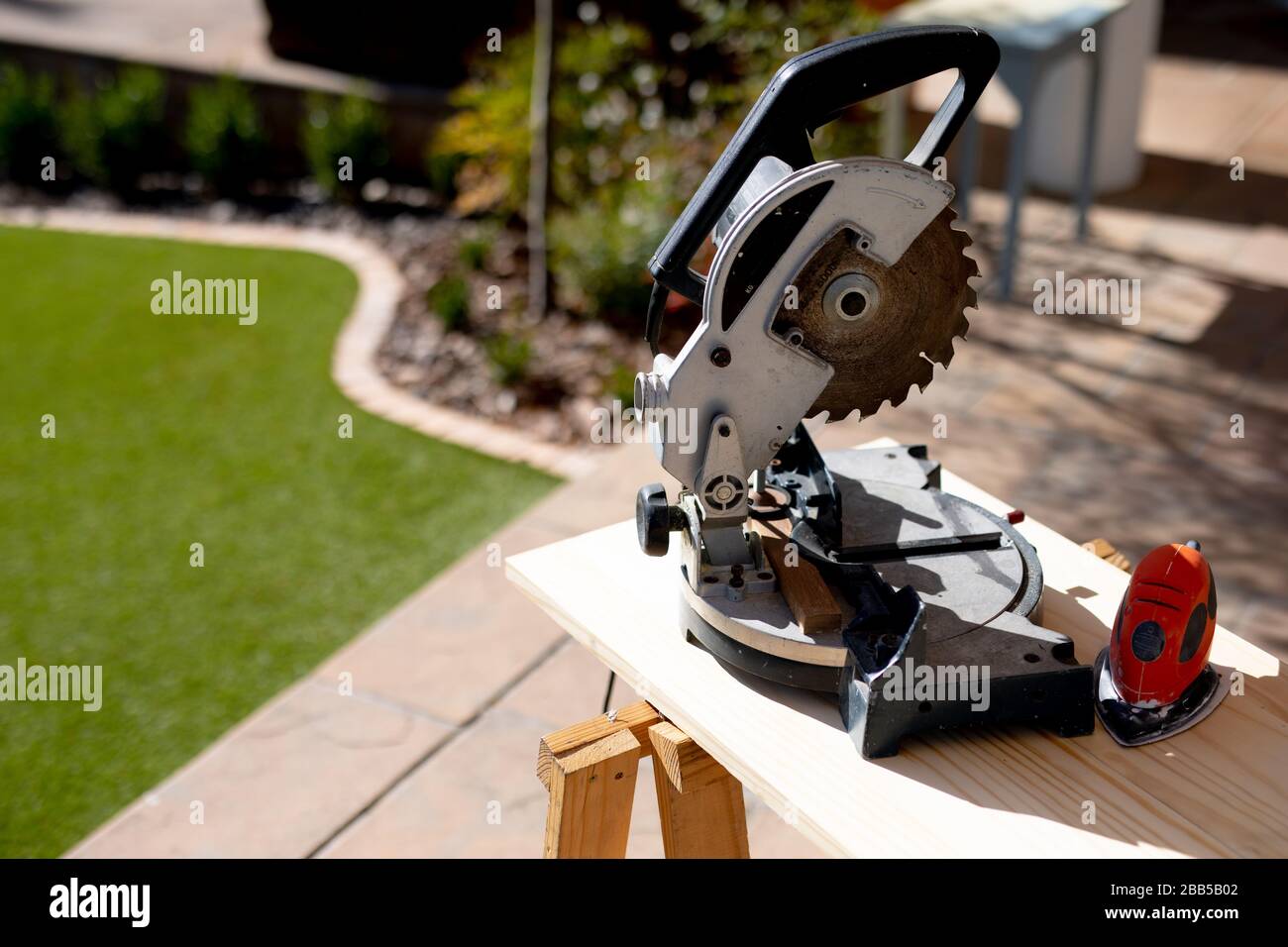 Sega circolare in un giardino soleggiato Foto Stock