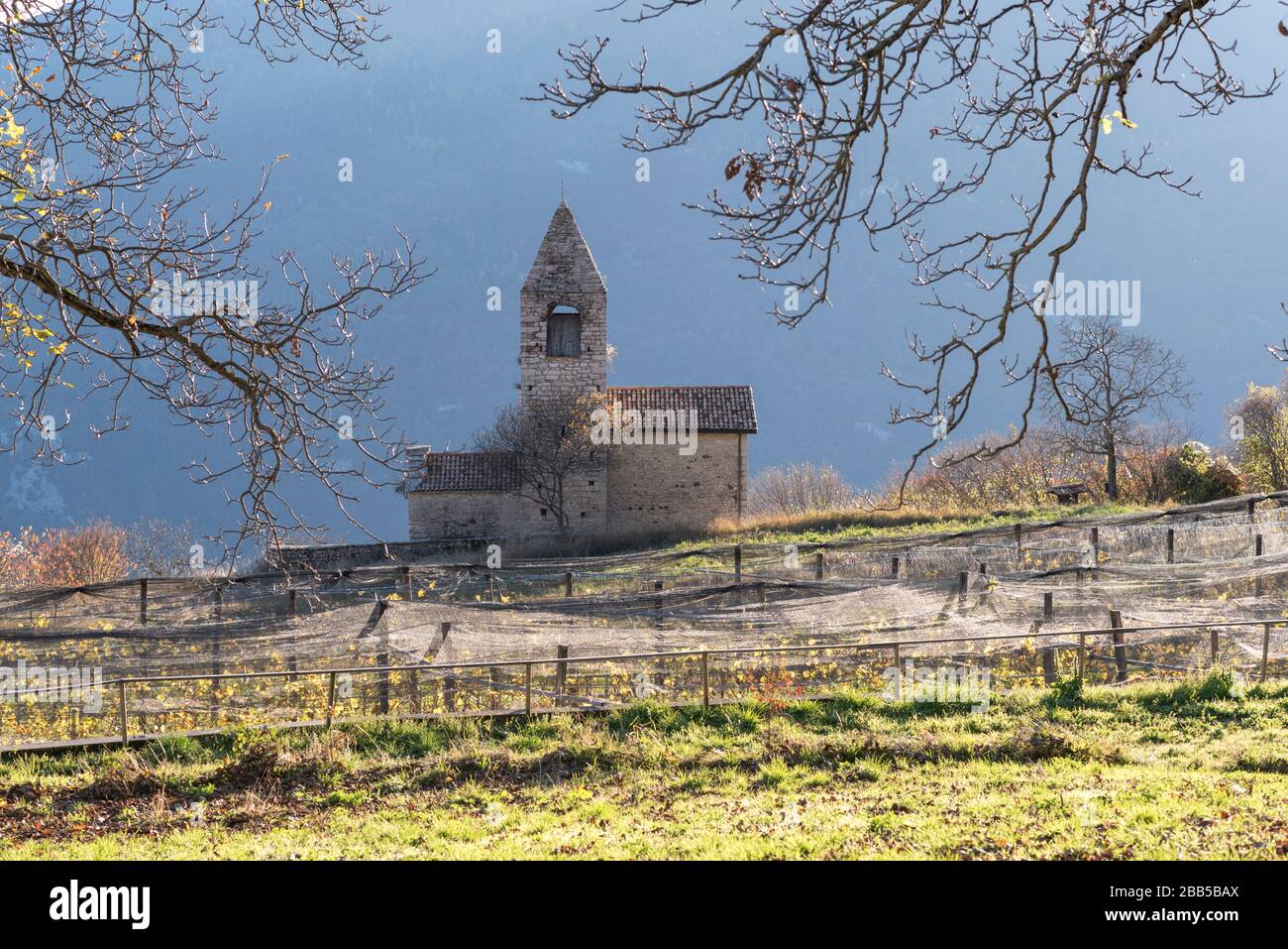 Ambiente naturale Trentino, Val di Gresta, Italia, inizio primavera Foto Stock