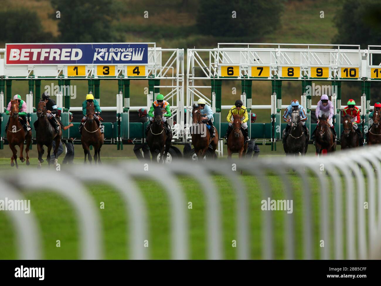 Il campo inizia il Betfred Mobile Lotto Stakes durante il giorno quattro del 2013 glorioso Goodwood Festival al Goodwood Racecourse Foto Stock