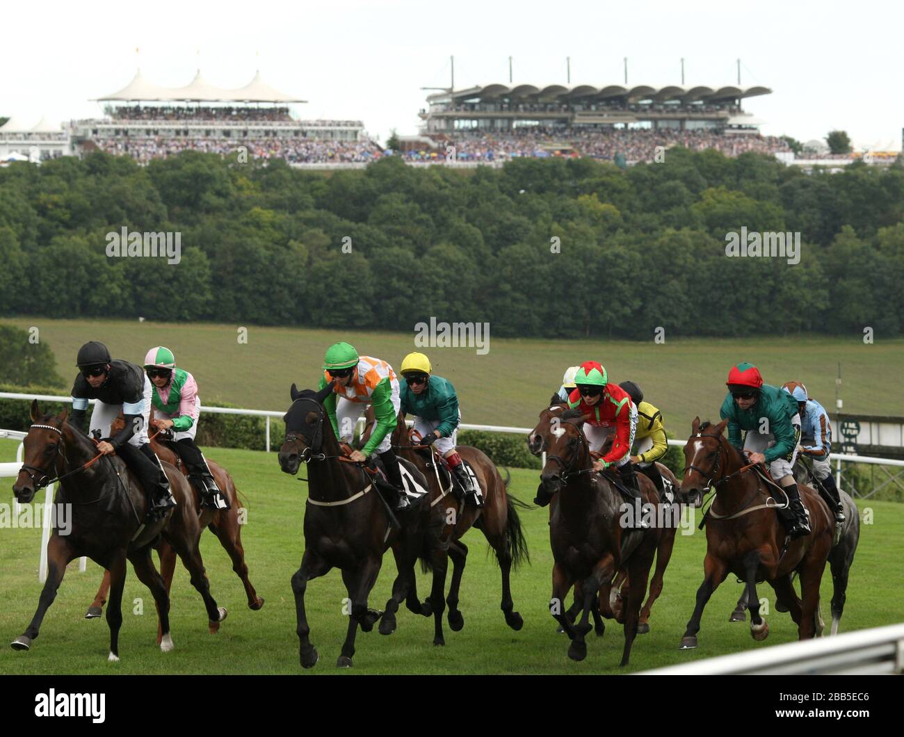 I cavalli corrono nell'handicap mobile lotto Betfred durante il quarto giorno del glorioso Festival Goodwood del 2013 all'ippodromo di Goodwood Foto Stock