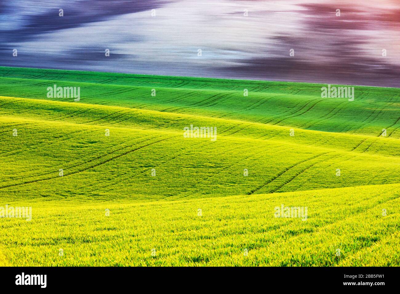 Paesaggio rurale astratto con campi agricoli sulle colline di primavera. Regione Della Moravia Meridionale, Repubblica Ceca Foto Stock