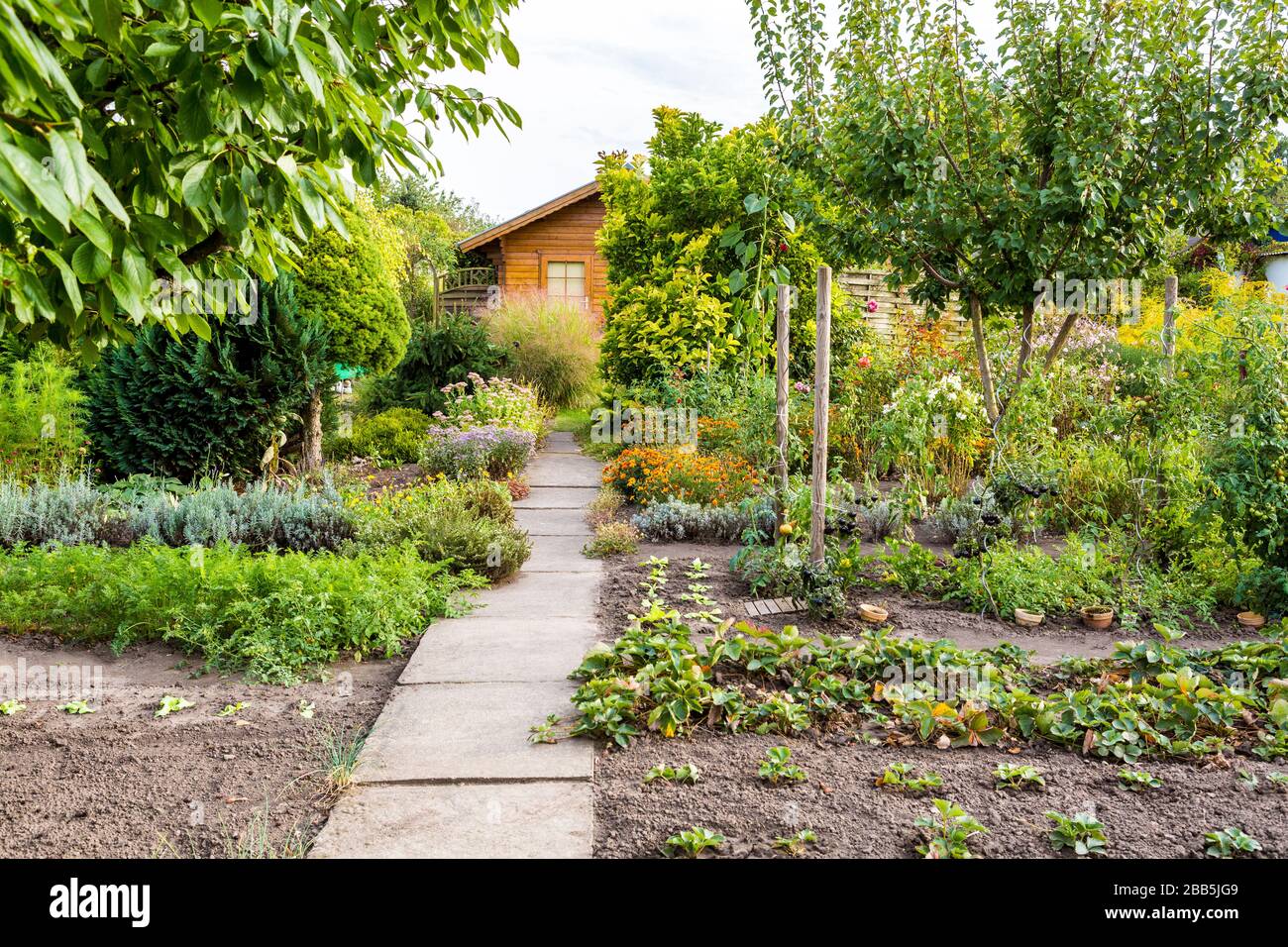 Tradizionale giardino tedesco alloment con un piccolo bungalow e frutta biologica e patch vegetali Foto Stock