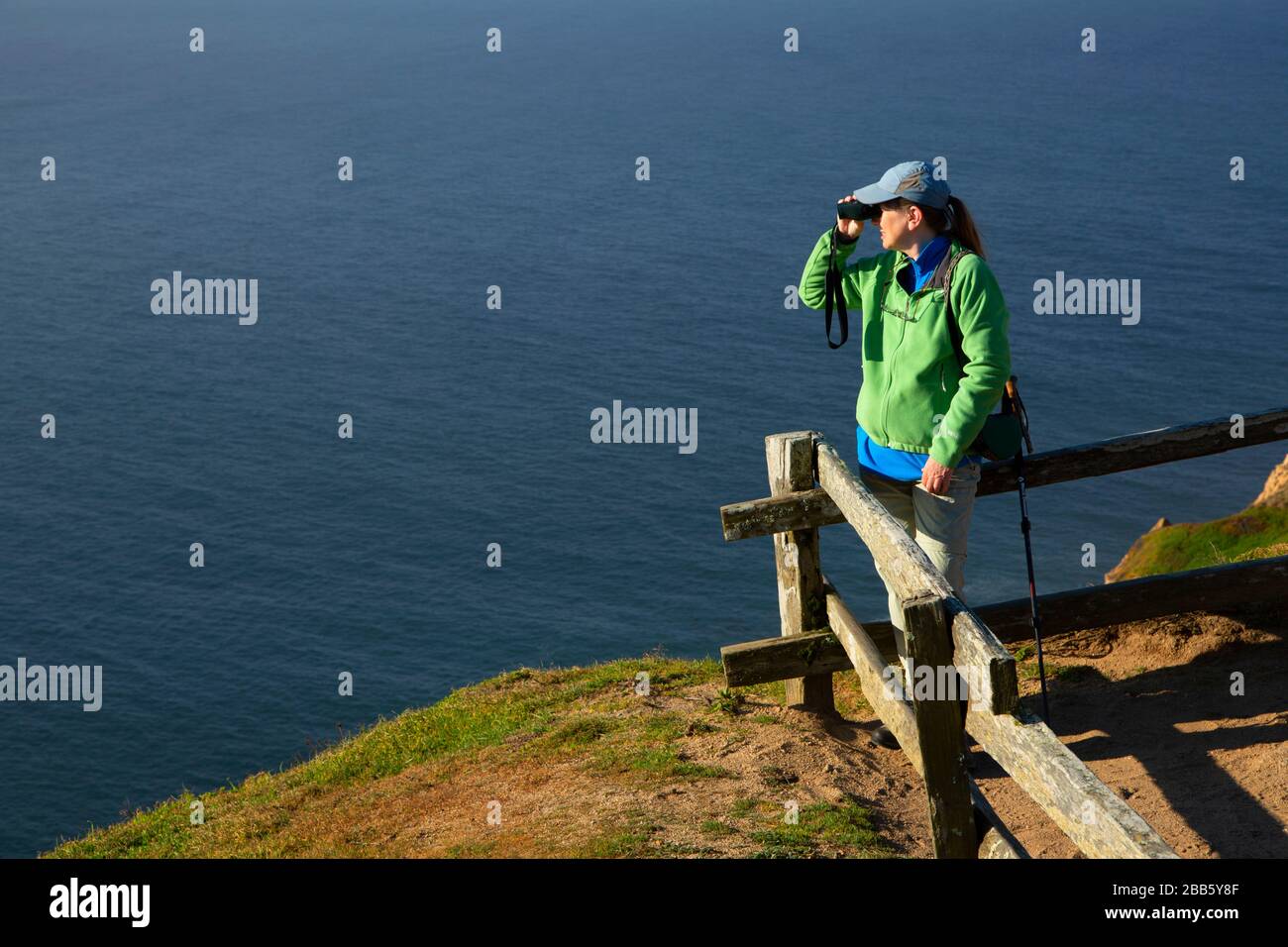 Punto Reyes Lighthouse Trailhead Viewpoint, Point Reyes National Seashore, California Foto Stock