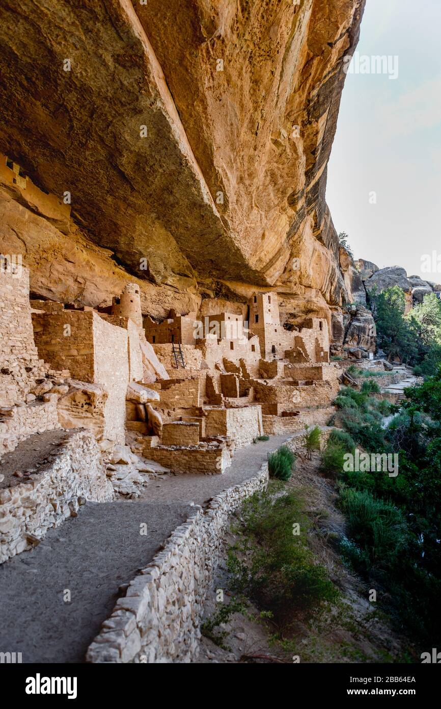 Cliff Palace, Mesa Verde National Park, COLORADO, Stati Uniti d'America Foto Stock