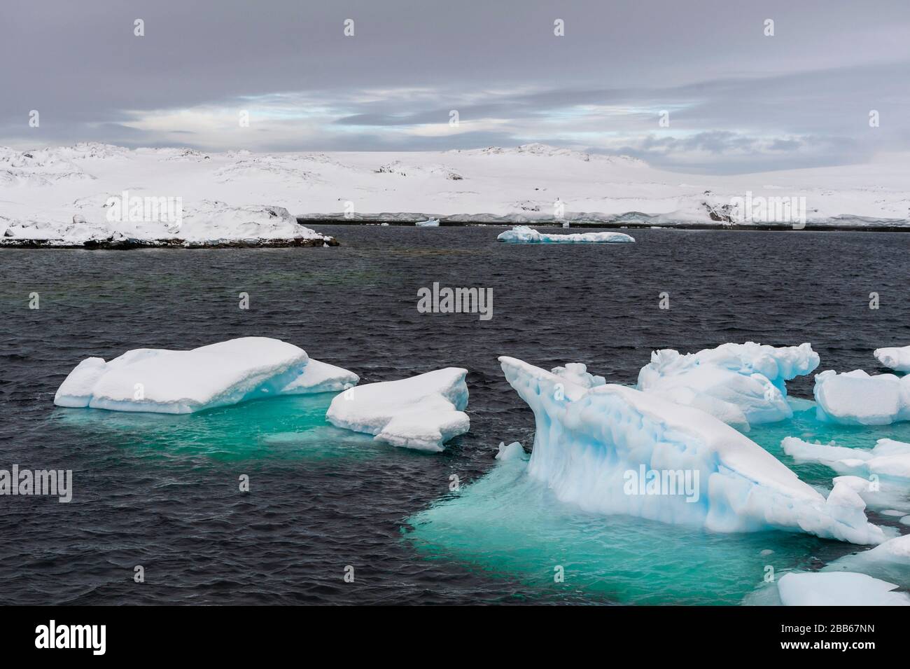 Paesaggio vicino alla base di ricerca Vernadsky, stazione Ucraina Antartico a Marina Point sull'isola di Galindez nelle isole Argentine, Antartide. Foto Stock