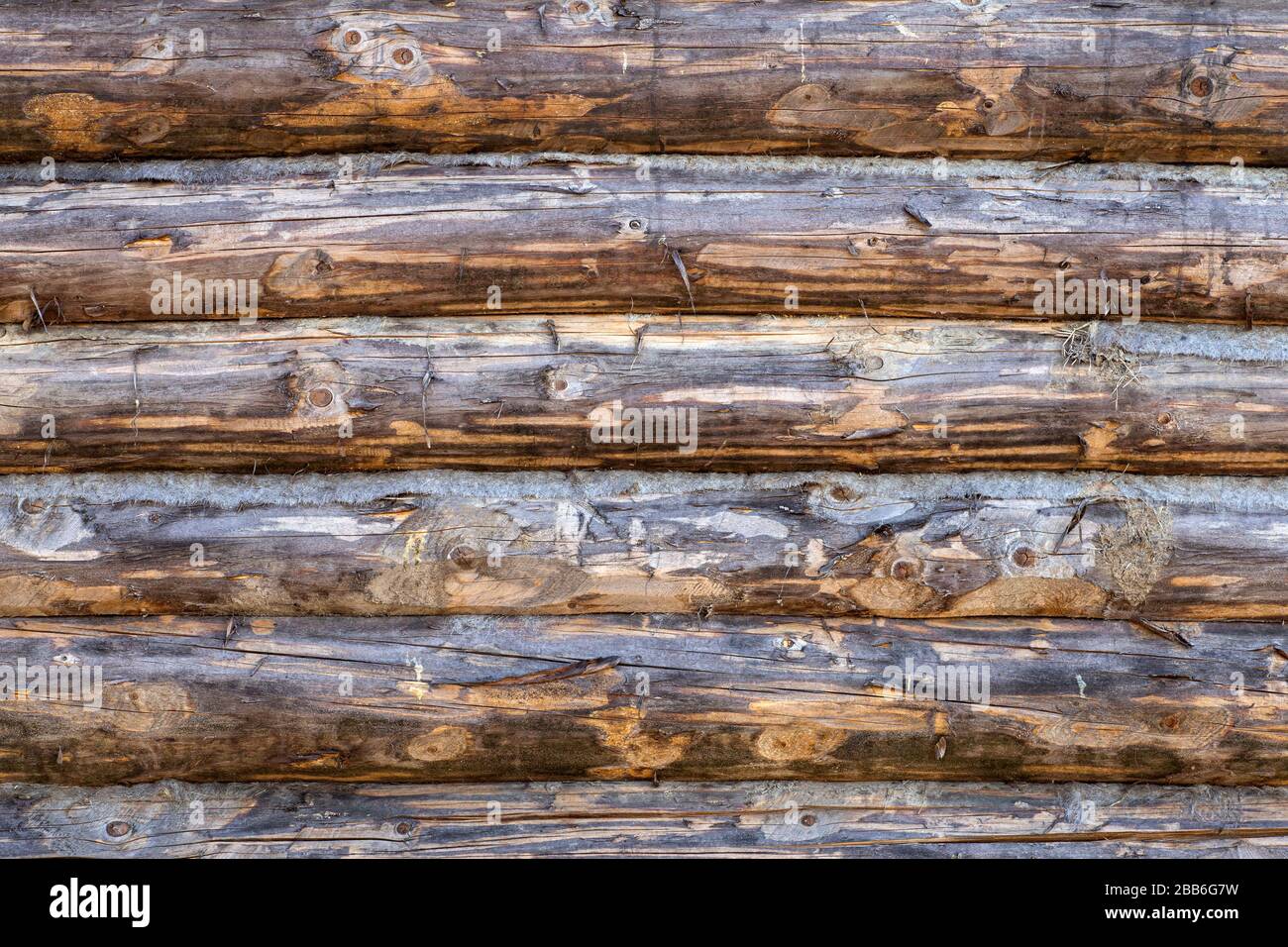 Sfondo in legno. Vecchio muro di legno di una casa rustica con texture. Foto Stock