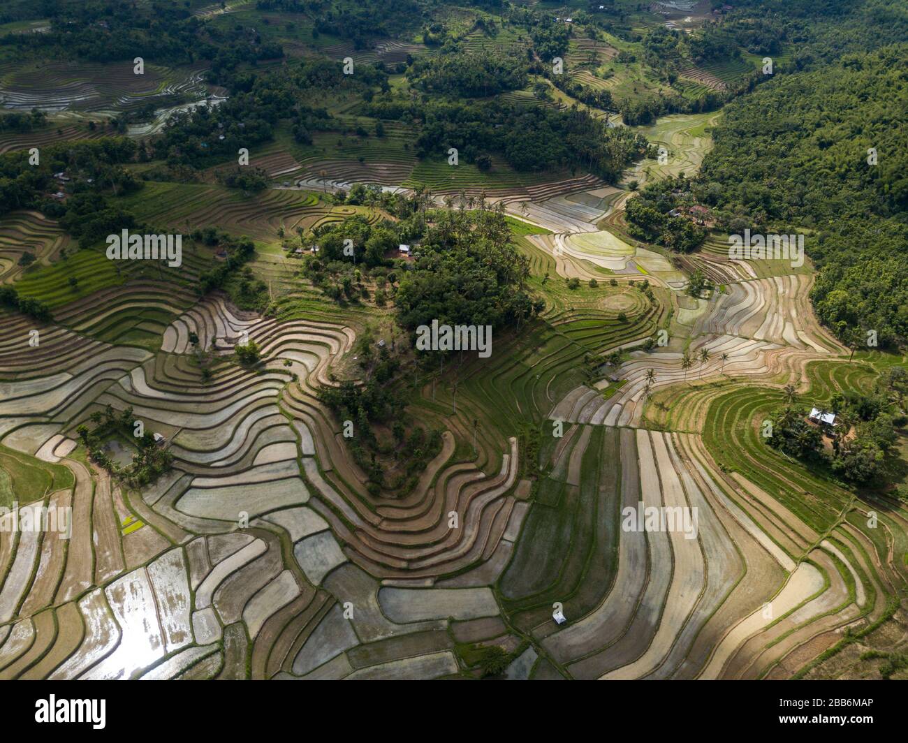 Veduta aerea dei campi di riso terrazzati, Mareje, Lombok, West Nusa Tenggara, Indonesia Foto Stock