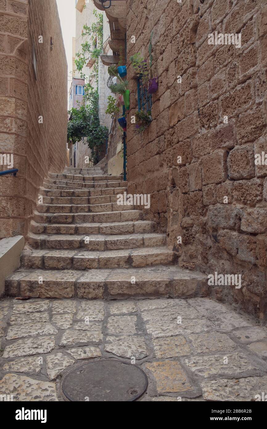Vicolo stretto con scala e piante sospese nella Vecchia Giaffa, Israele Foto Stock