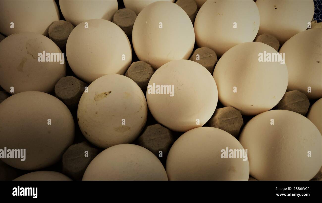 Closeup vista di sano e ricco di proteine brownish bianco stack di uova, India Foto Stock