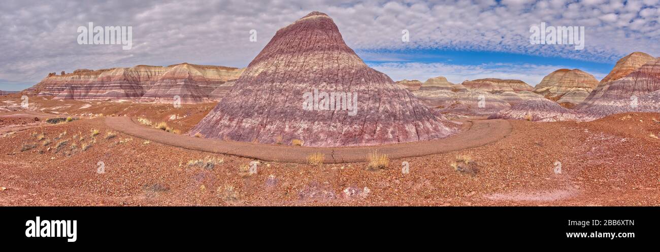 Blue Mesa Trail, Petrificed Forest National Park, Arizona, Stati Uniti Foto Stock