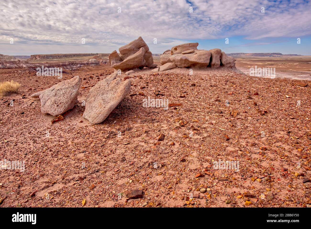 Formazioni rocciose nel deserto, Petrificed Forest National Park, Arizona, Stati Uniti Foto Stock