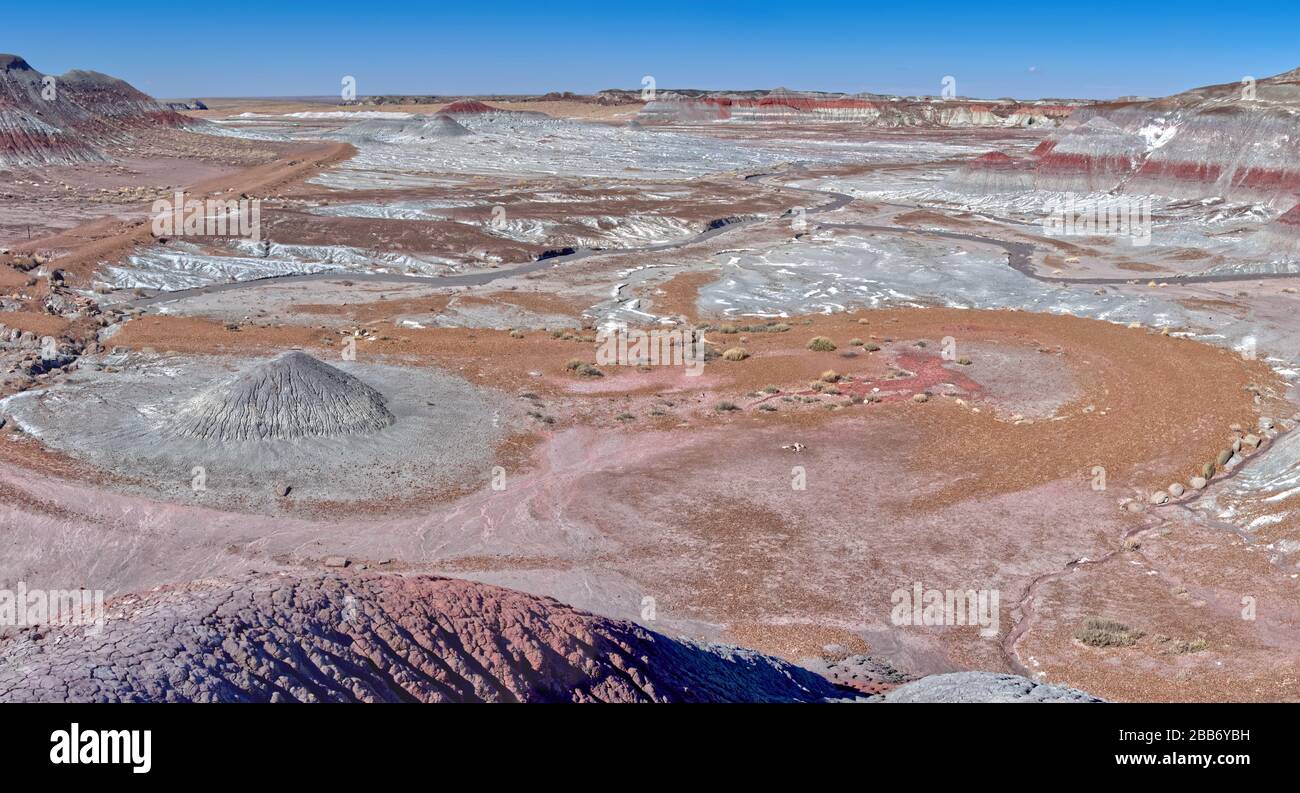 Colline di bentonite ricoperte di sale, Blue Forest Trail, Petrificed Forest National Park, Arizona, Stati Uniti Foto Stock