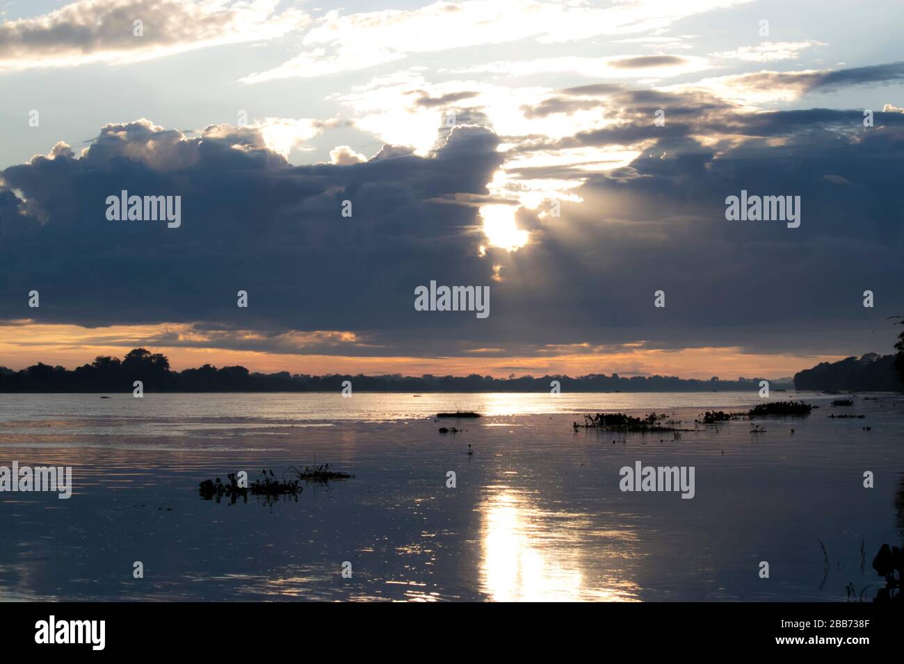 Rio Paraguai, pantanal mato grosso do sul Foto Stock