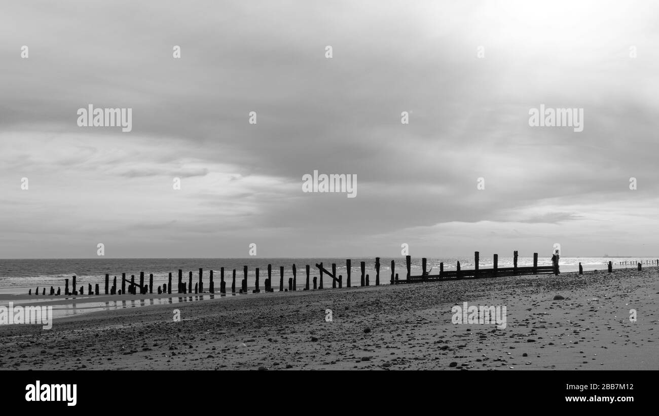 Pali di legno che si estendono attraverso una spiaggia in bianco e nero Foto Stock