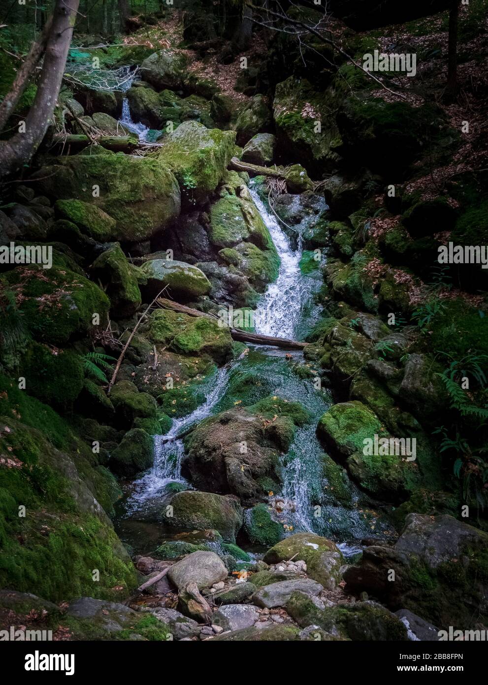 Little Lake Arber, Sollerbach e un sistema di stramazzi nella Foresta Bavarese vicino Bodenmais Foto Stock