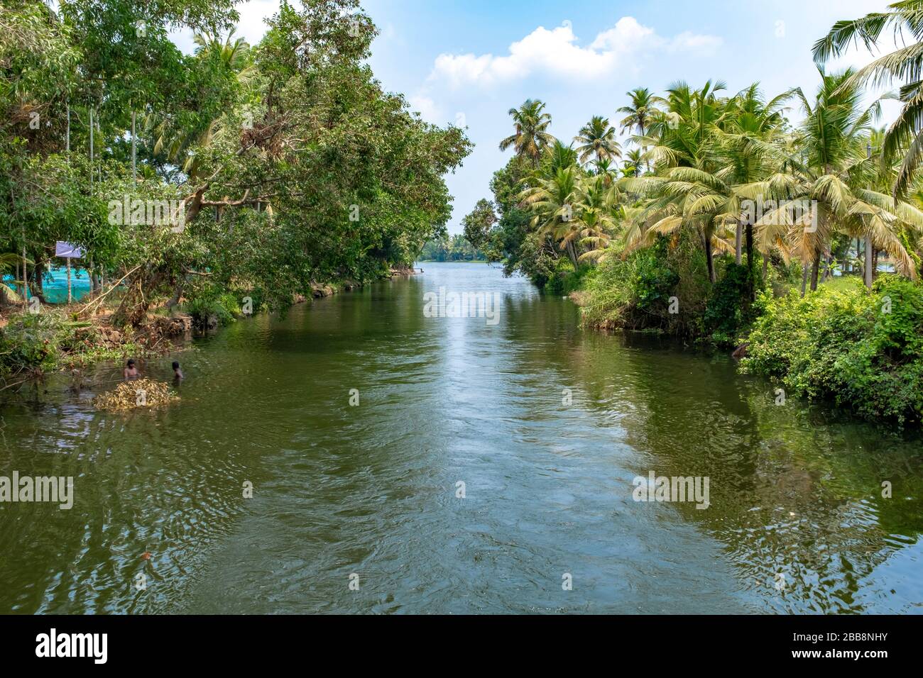 Kerala, India - 31 marzo 2018: Viaggia su un canale di acque reflue con 2 uomini che nuotano in lontananza Foto Stock