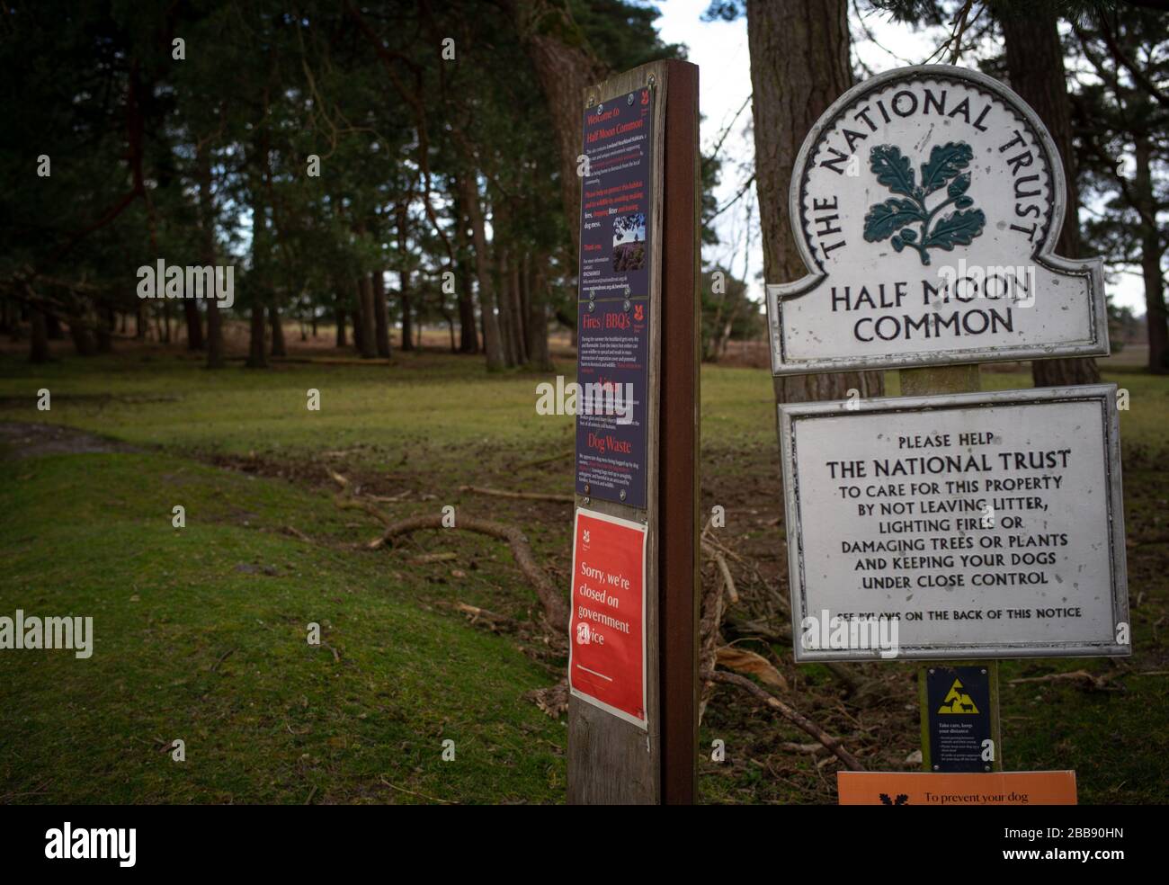 Un segno sulla terra di fiducia nazionale che dice che siamo chiusi su consiglio del governo. La terra è Half Moon Common ai margini del New Forest Hampshire. Foto Stock