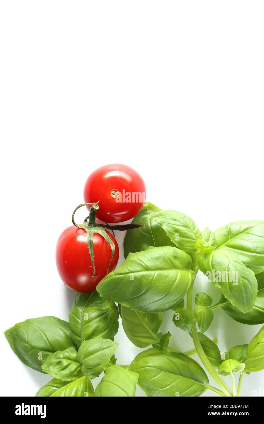 Pomodori ciliegini freschi con mazzo di basilico fresco. Sfondo bianco, disposizione piatta, primo piano Foto Stock