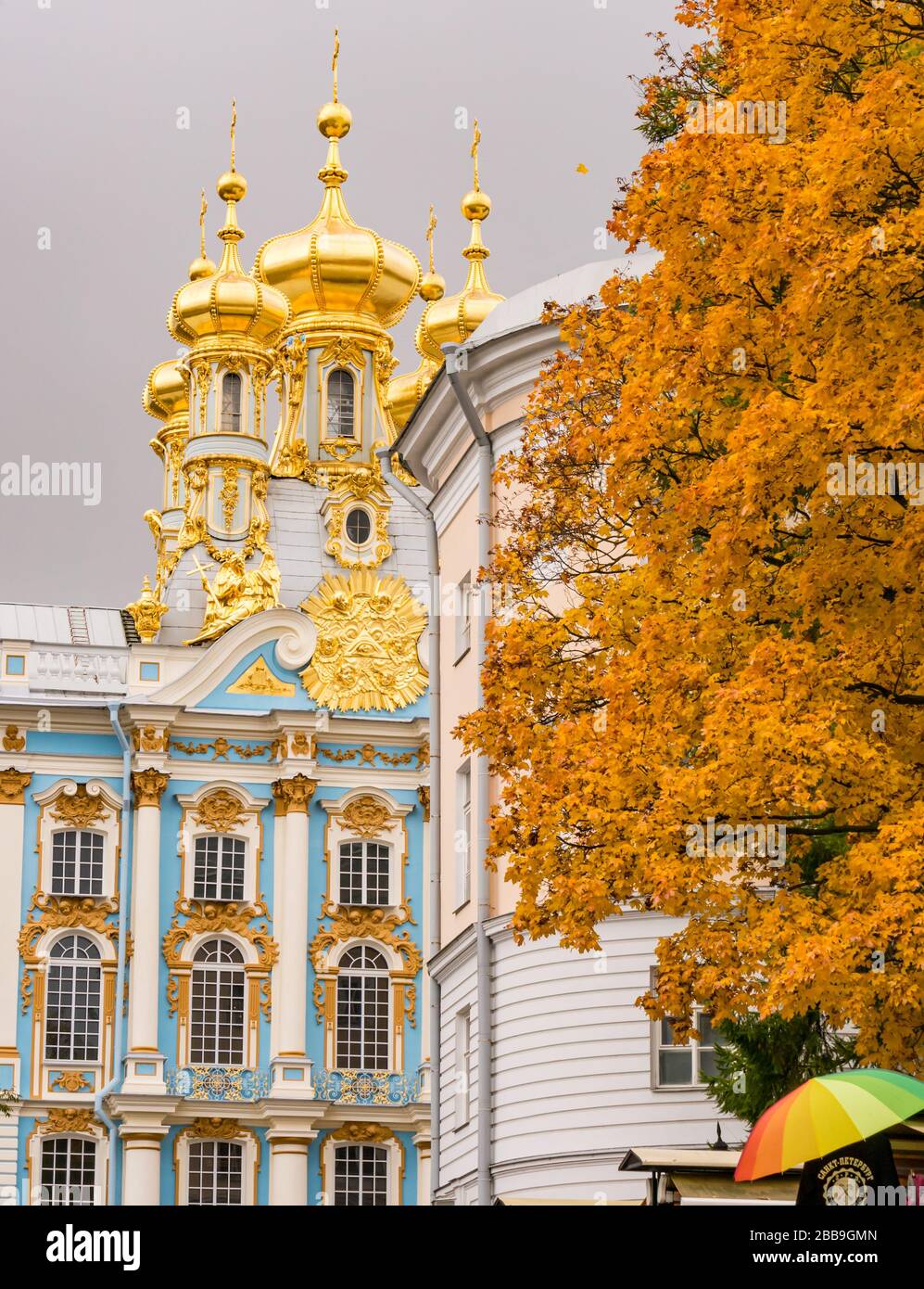 Autunno albero e cipolla cupole d'oro Palazzo di Caterina, Tsarskoe Selo, Pushkin, Federazione russa Foto Stock
