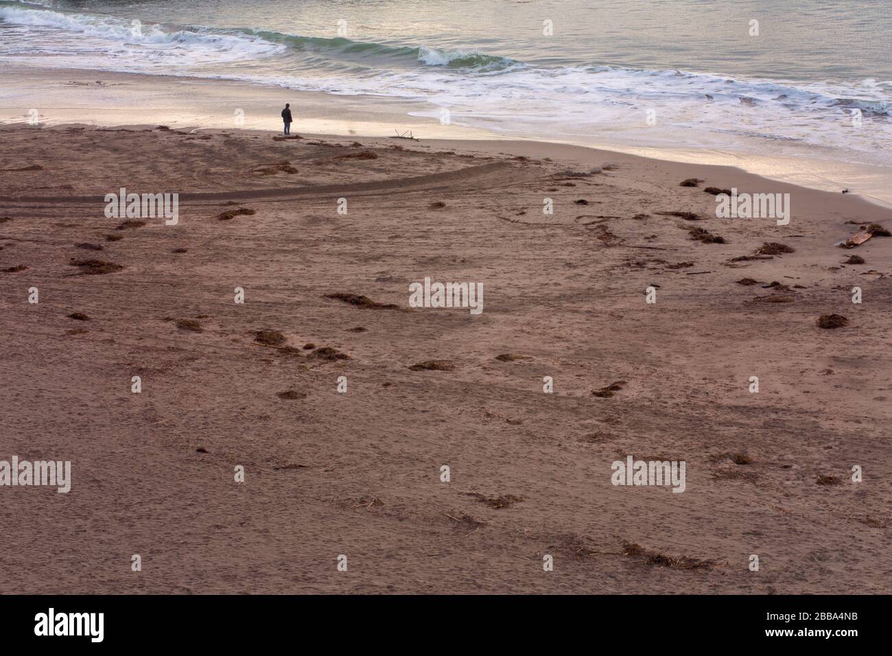 One Man on Sandy Beach guardando il tramonto a Santa Cruz, California, Stati Uniti Foto Stock