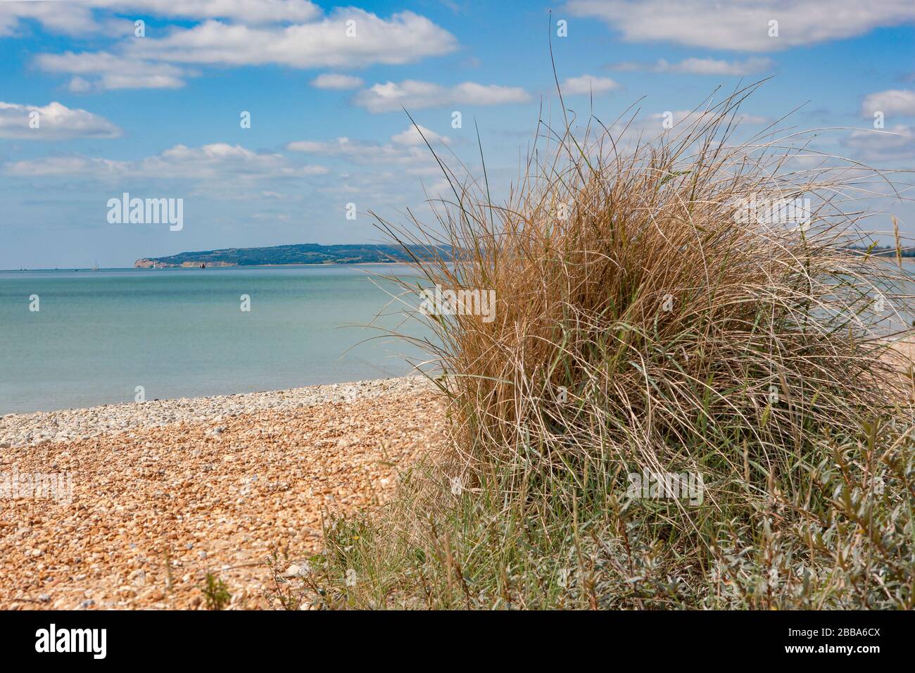 Vista sulla spiaggia di Camber Sands attraverso l'erba di marram all'orizzonte Foto Stock