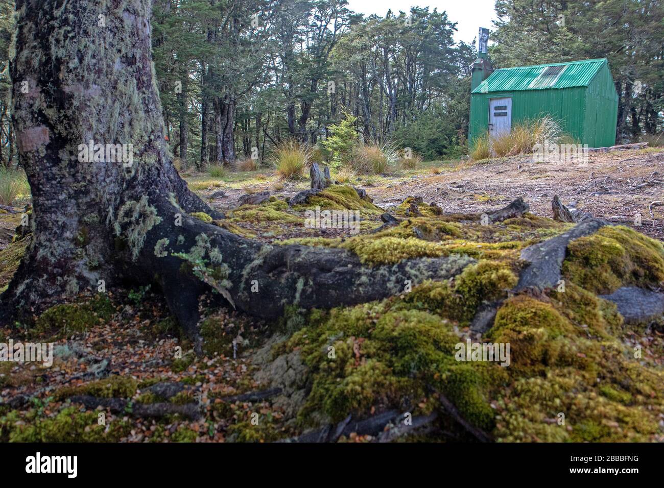 Rifugio Bealey Spur Foto Stock