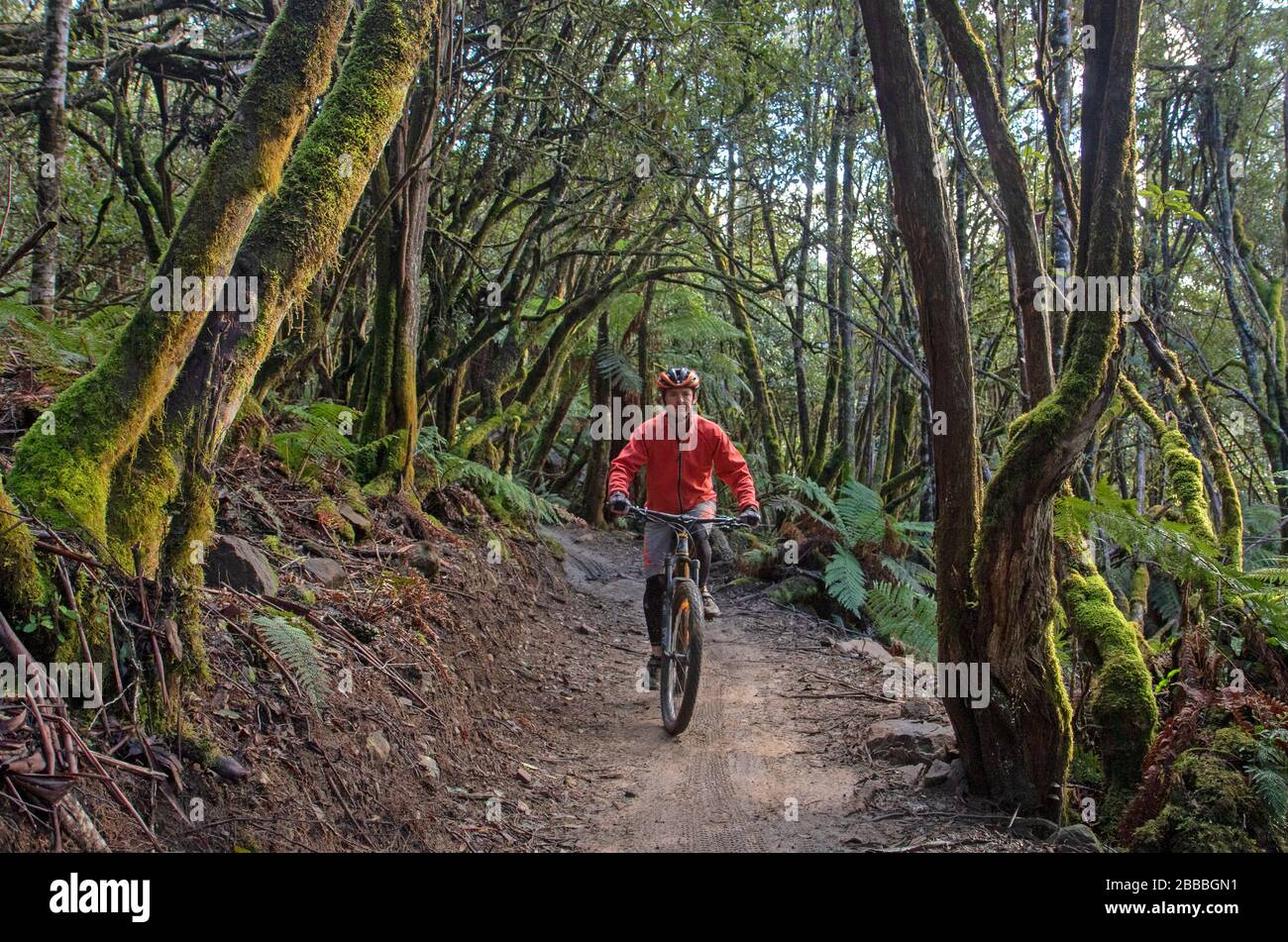 Mountain bike al Maydena Bike Park Foto Stock